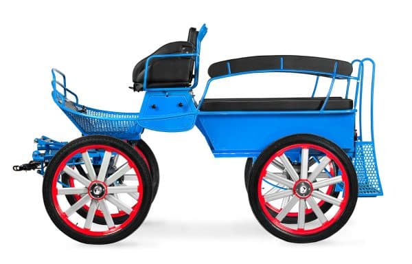 D6 Trainingswagen Wagonette