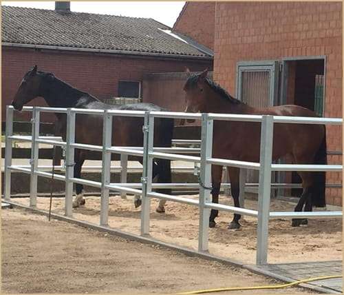 P2 Paddocks 80×80 (3mB) - Bild 1