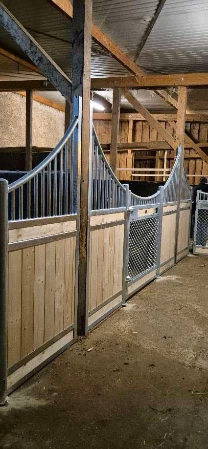 FW2 Pferdeboxen Vorderfront Baron Magic Horse ( 3mB x 2,20mH) - Bild 2