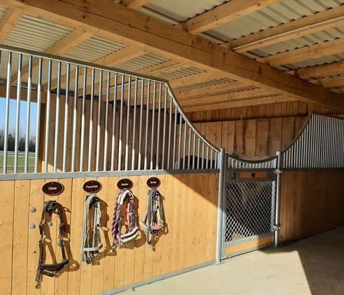 FW2 Pferdeboxen Vorderfront Baron Magic Horse ( 3mB x 2,20mH) - Bild 4
