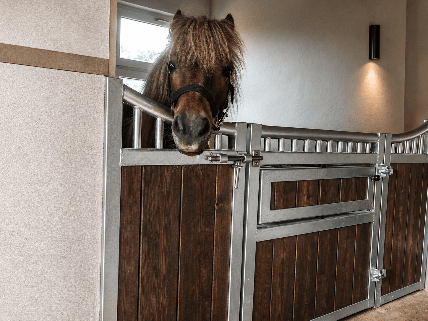 FW8 Pferdeboxen Vorderfront Baron Pony (3mB x 1,20mH) - Bild 2
