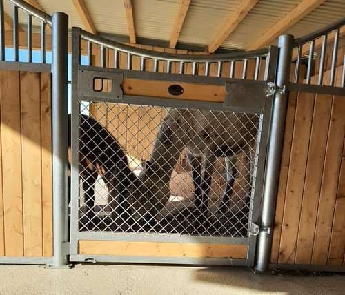 FW2 Pferdeboxen Vorderfront Baron Magic Horse ( 3mB x 2,20mH) - Bild 3